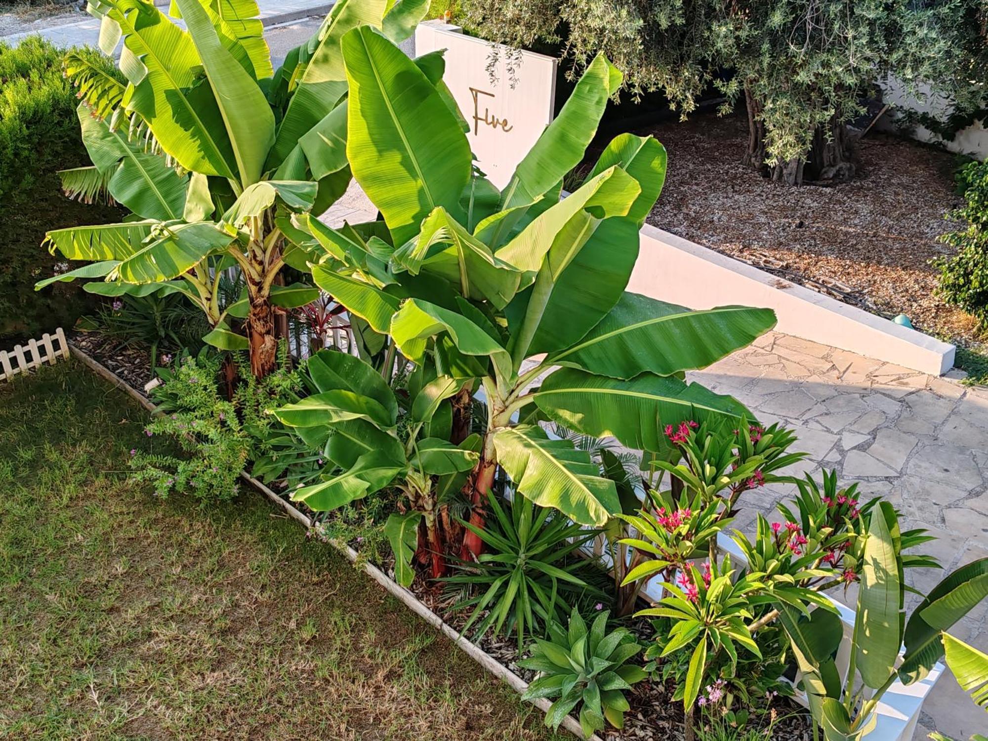 Five Palms Villa Paphos